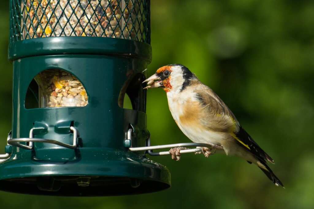 12045263 770892383036270 6169773555820666969 O