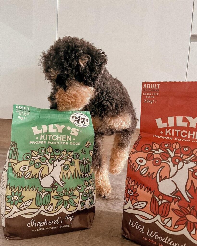 215531555 4750477214965624 392531962901763697 N