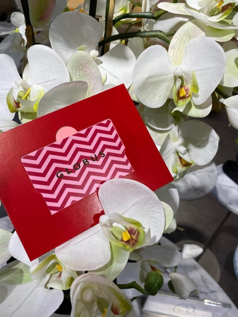 279899912 3250680291836020 5920476334463758026 N