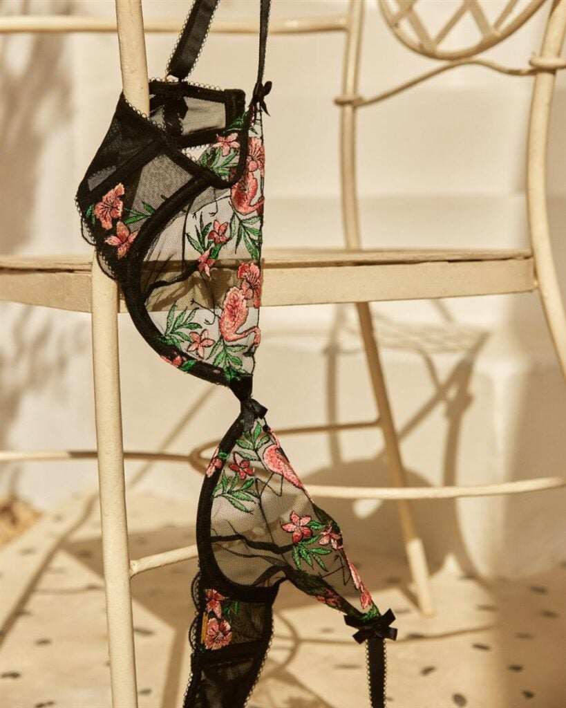 291052526 5392820230775617 8823638159704270934 N