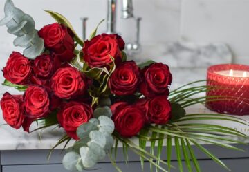 330199231 1133014574765714 7389840122930111574 N