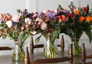 331378717 1353191332131756 7430175410213739891 N