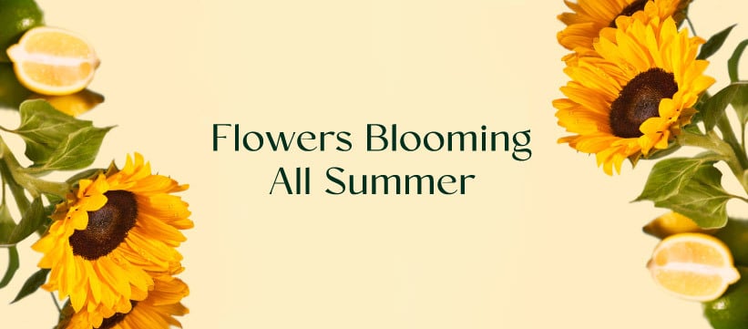 357795383 655753906589201 1508843790306996836 N