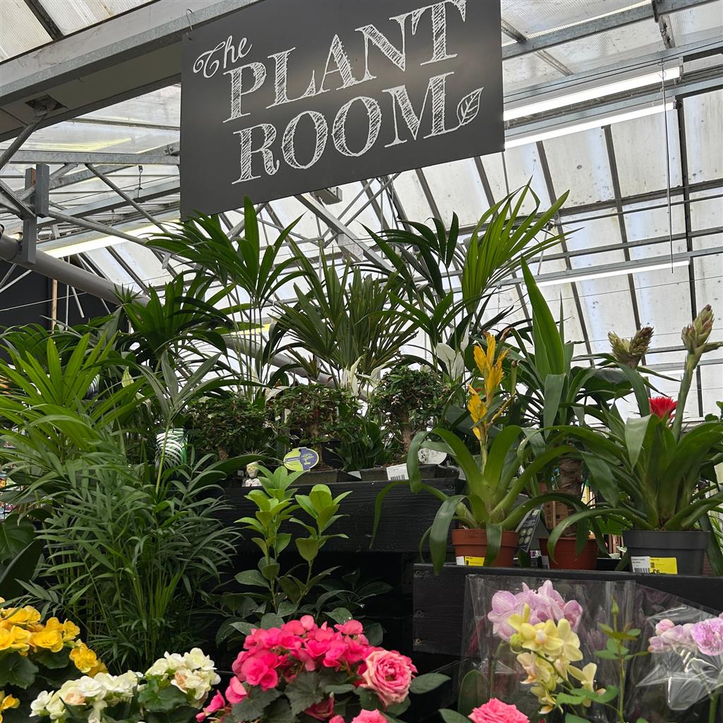 380705336 700954365406468 6953612947359318275 N