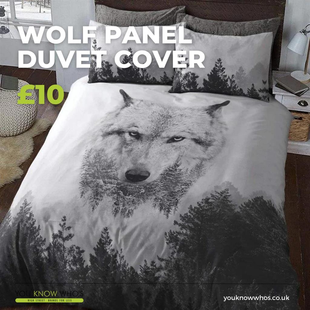 391698106 757367099738024 6176651049693061668 N