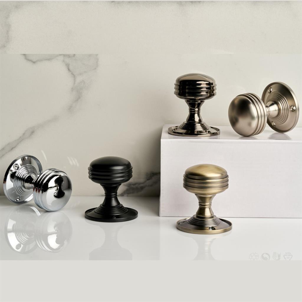 409147019 867304368736793 4801892764005747592 N