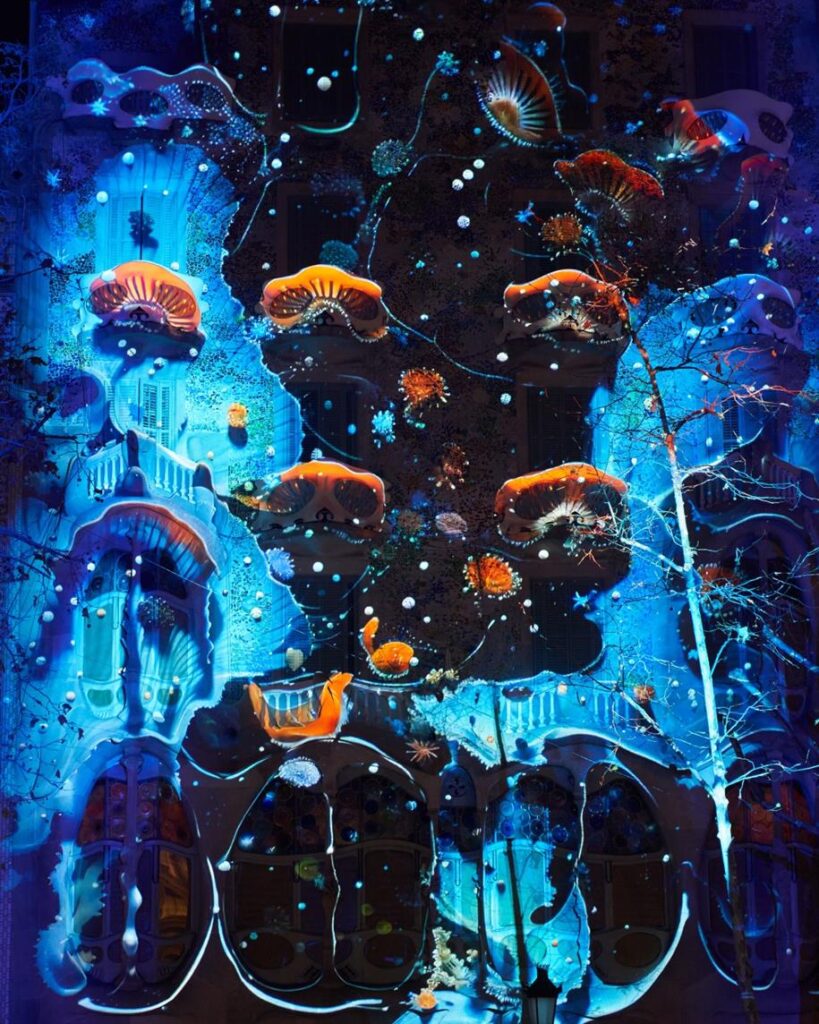 424558259 803067788520900 4310914686848099592 N