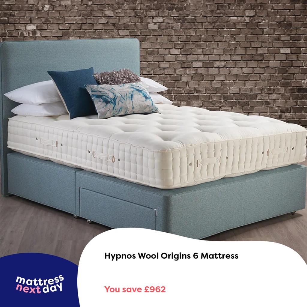 426601386 906056374860534 9131790876612061341 N