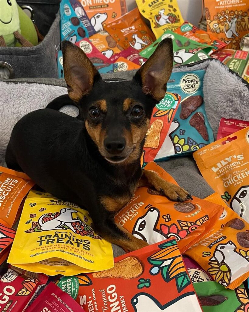 429941172 823226633175117 4496081204329833708 N