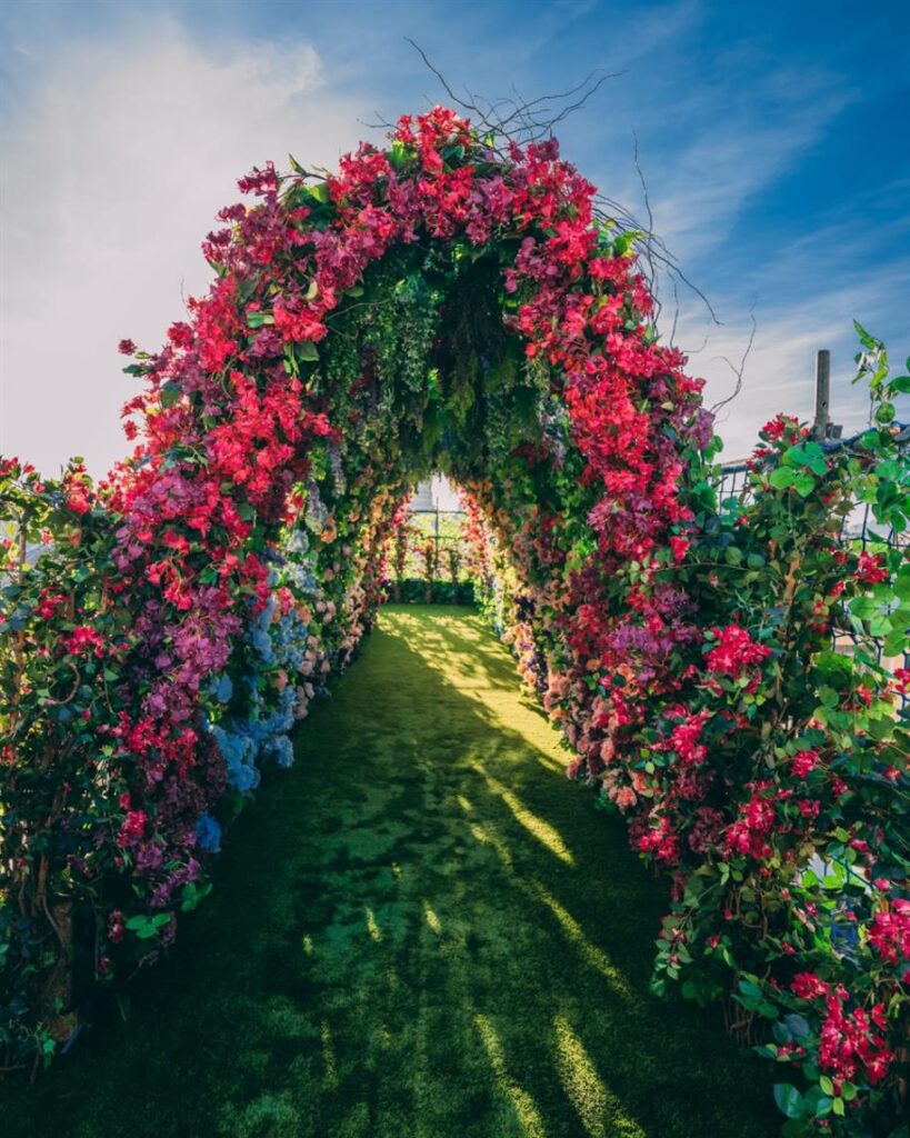 431064744 822678789893133 2985872261241312592 N