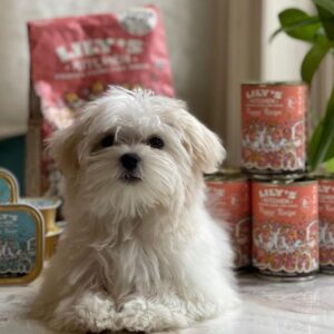 433942605 838959458268501 6035993925560757870 N