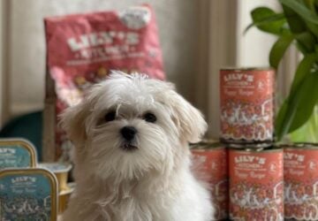 433942605 838959458268501 6035993925560757870 N