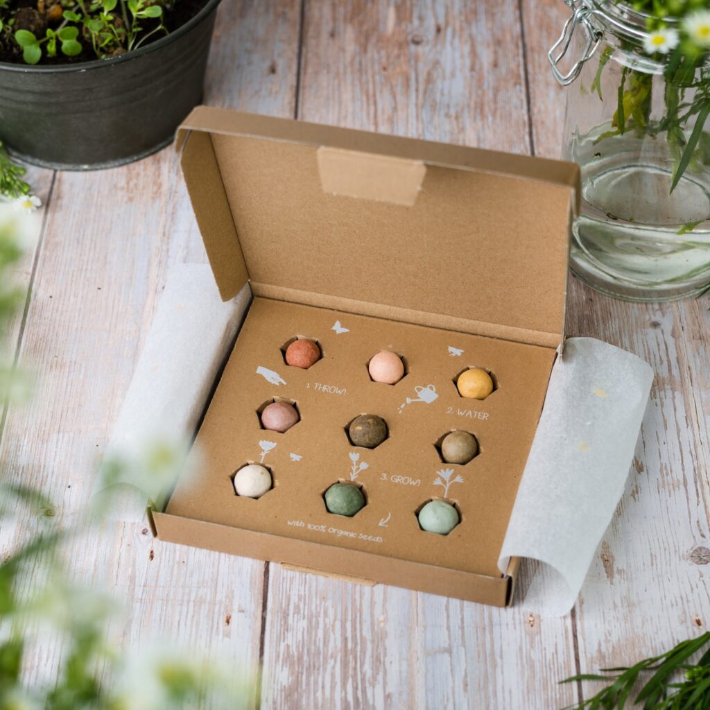 471951196 961479996036562 7958952318186854644 n