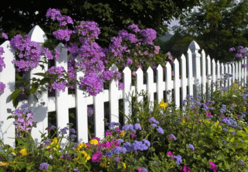 5732495db71b2decbc1eddbac7217632.28843