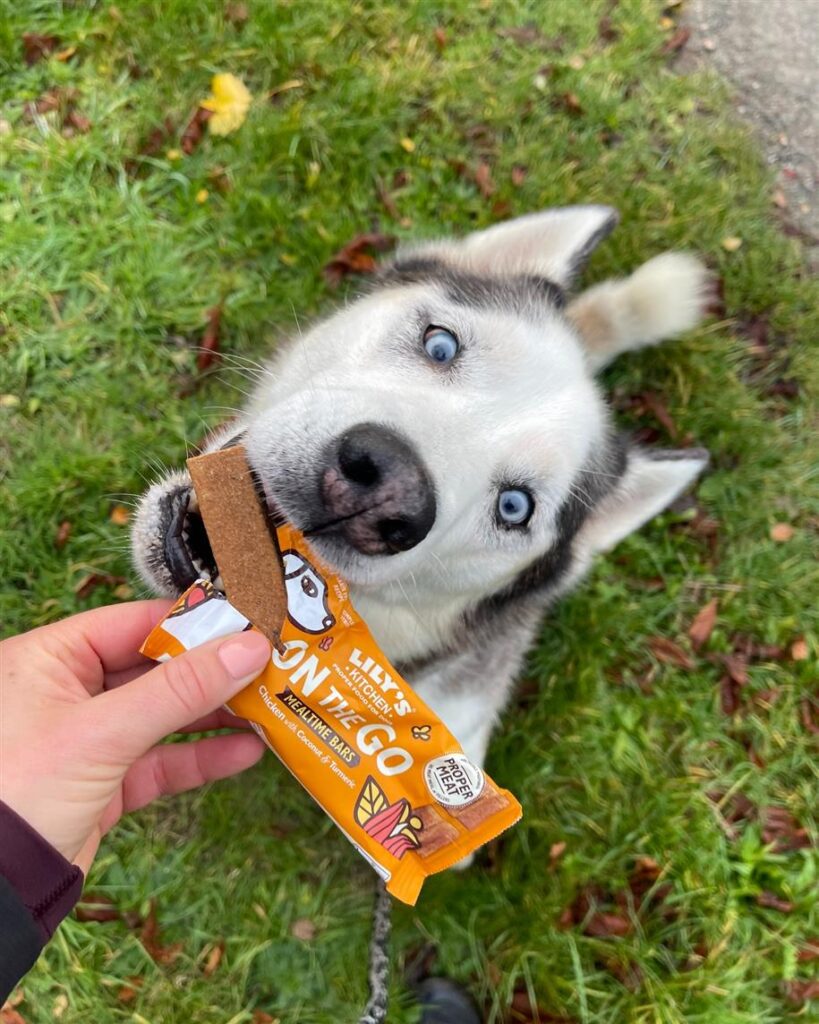 91064515 767623520310185 3087271480761778176 N