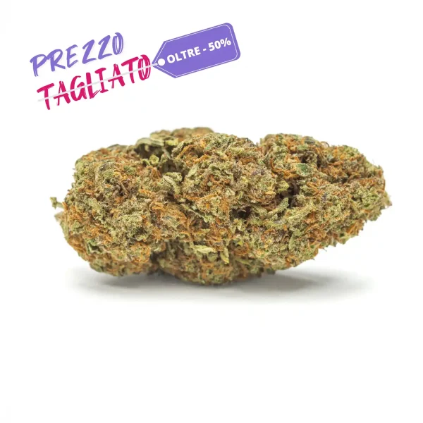 Bubbleberry 25 600x600