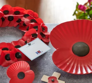 Buyapoppy 69c5dab6 b1b2 4fbe 85e5 7a191620ed6a 580x