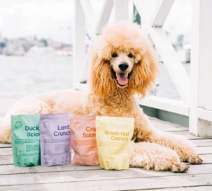 Copy Of Buddysommar 129 2 (1) Media Library Original 648 432