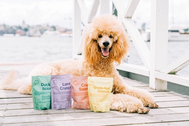 Copy Of Buddysommar 129 2 (1) Media Library Original 648 432