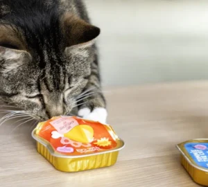 Dsc6183 Bewerkt 1024x683