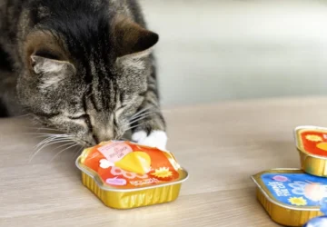 Dsc6183 Bewerkt 1024x683