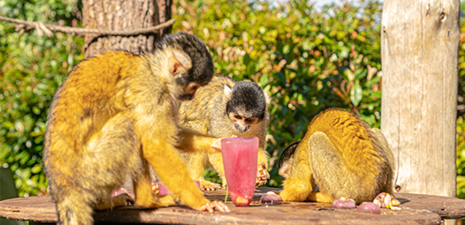 Onpaste.20240801 065033