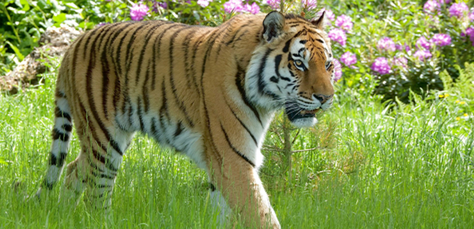 Onpaste.20240801 065116