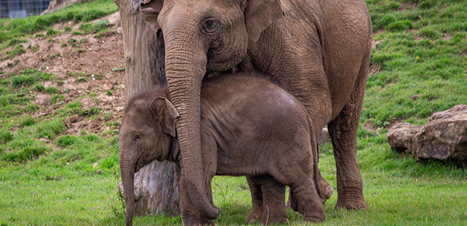 Onpaste.20240801 065127