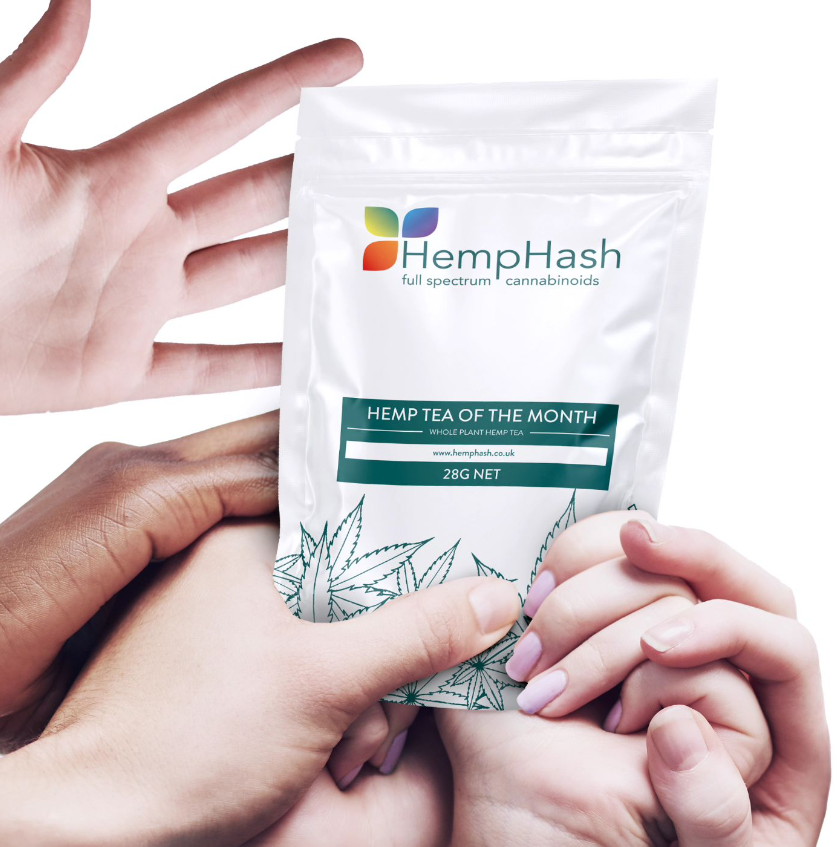 Onpaste.20240808 011253