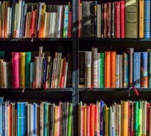 I en tid der bærekraft møter smarte forbrukervalg, skiller Bokia.no seg ut som en pioner innen miljøvennlig leseferdighet. Som Norges største nettbutikk for pent brukte bøker tilbyr Bokia.no lesere over hele landet en skyldfri måte å nyte favoritttitlene sine på – uten å ofre kvalitet, bekvemmelighet eller kostnad.