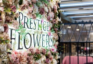 Download16 Ezgif.com Webp To Jpg Converter