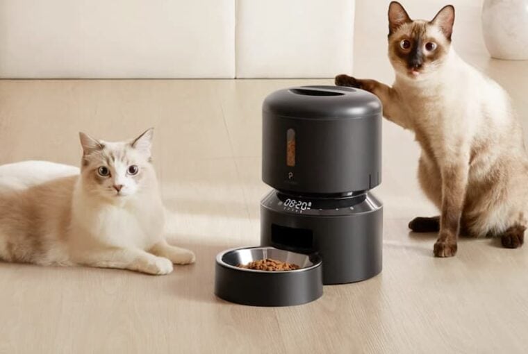 Petlibro Granary Two Cats