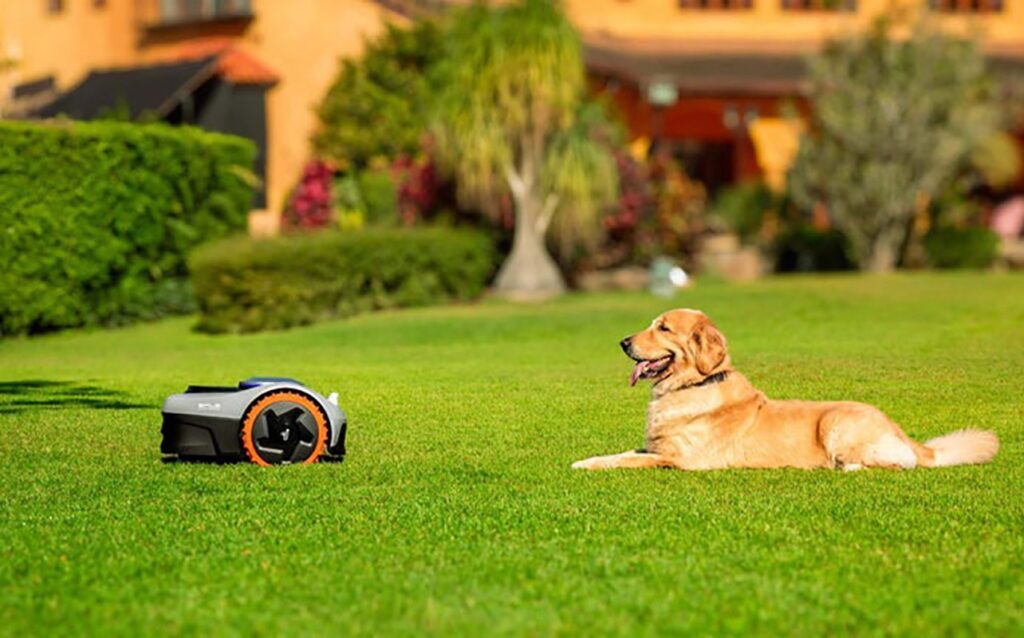 Segway Navimow Dog